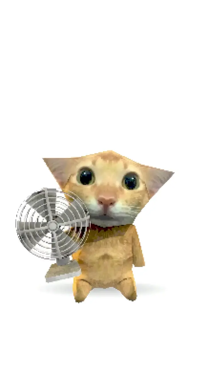 Funny Cat Meme Live Wallpaper for Mobile Devices