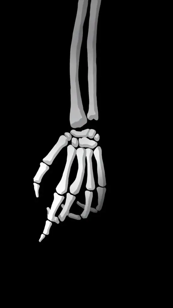 Minimalist Skeleton Hand Dark 4K Live Wallpaper