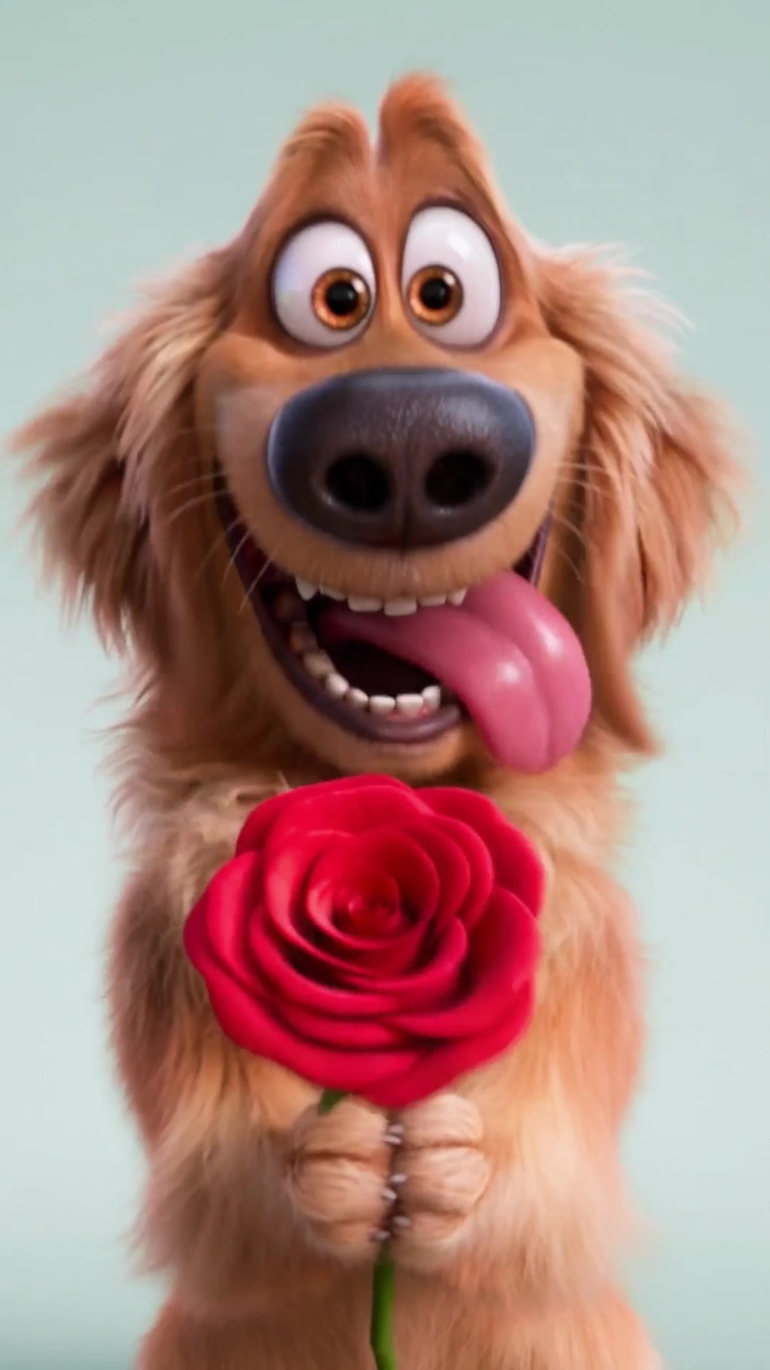 Cute Dog Holding a Rose Animated Wallpaper