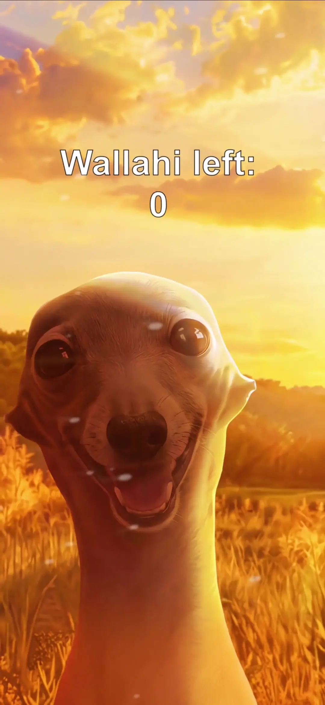 Funny Animated Dog Meme Live Wallpaper in 4K