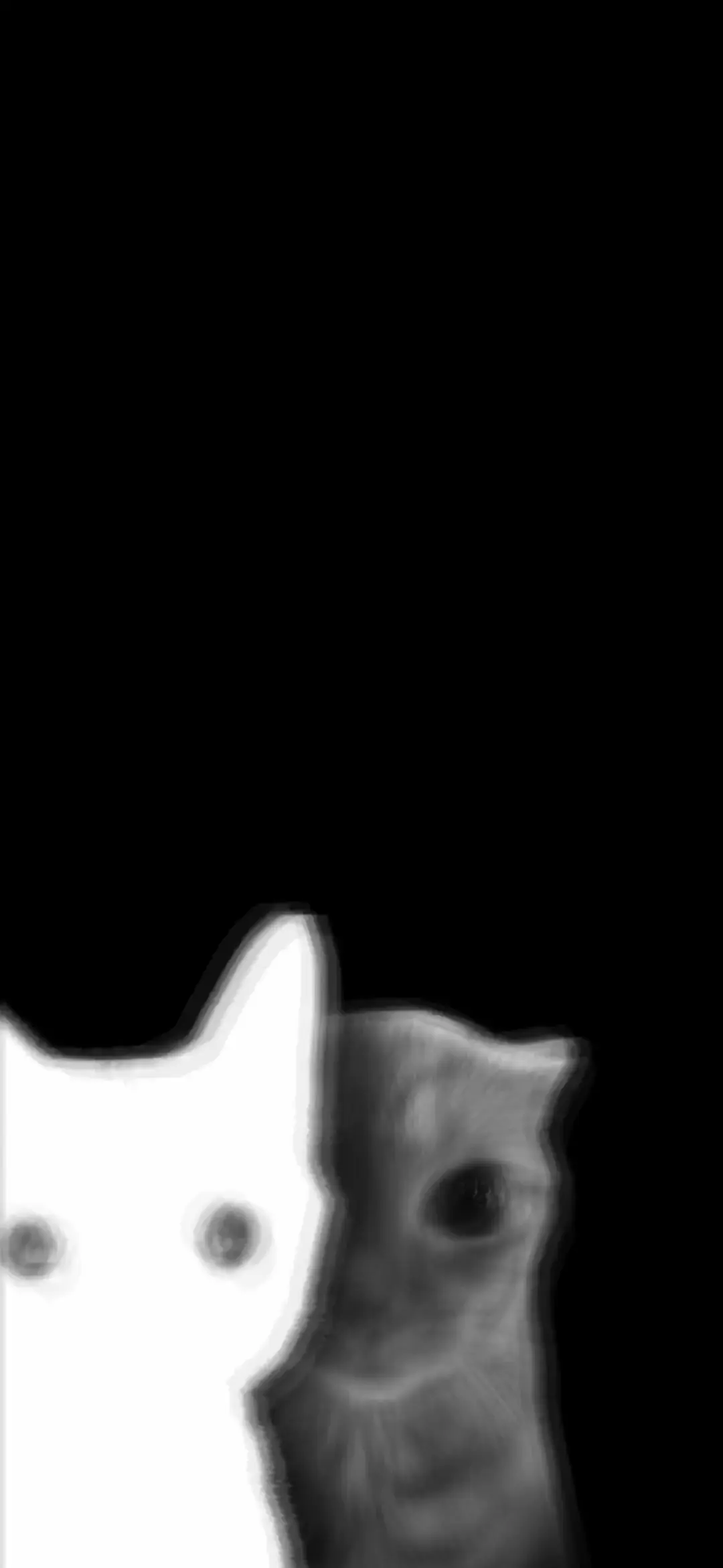 Monochrome Cute Cat Meme Live Wallpaper in 4K