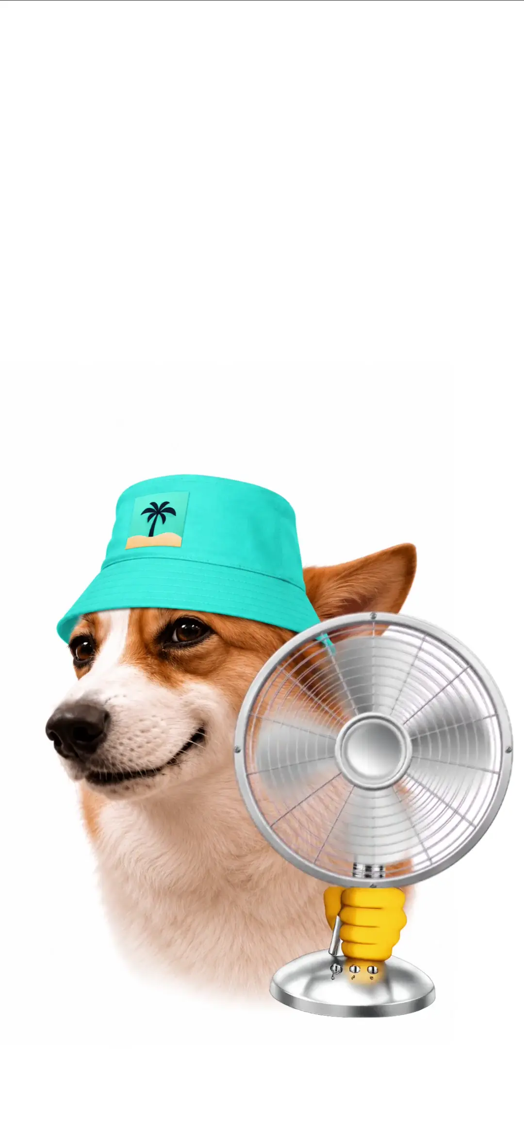 Cute Corgi in Bucket Hat with Fan HD Live Wallpaper