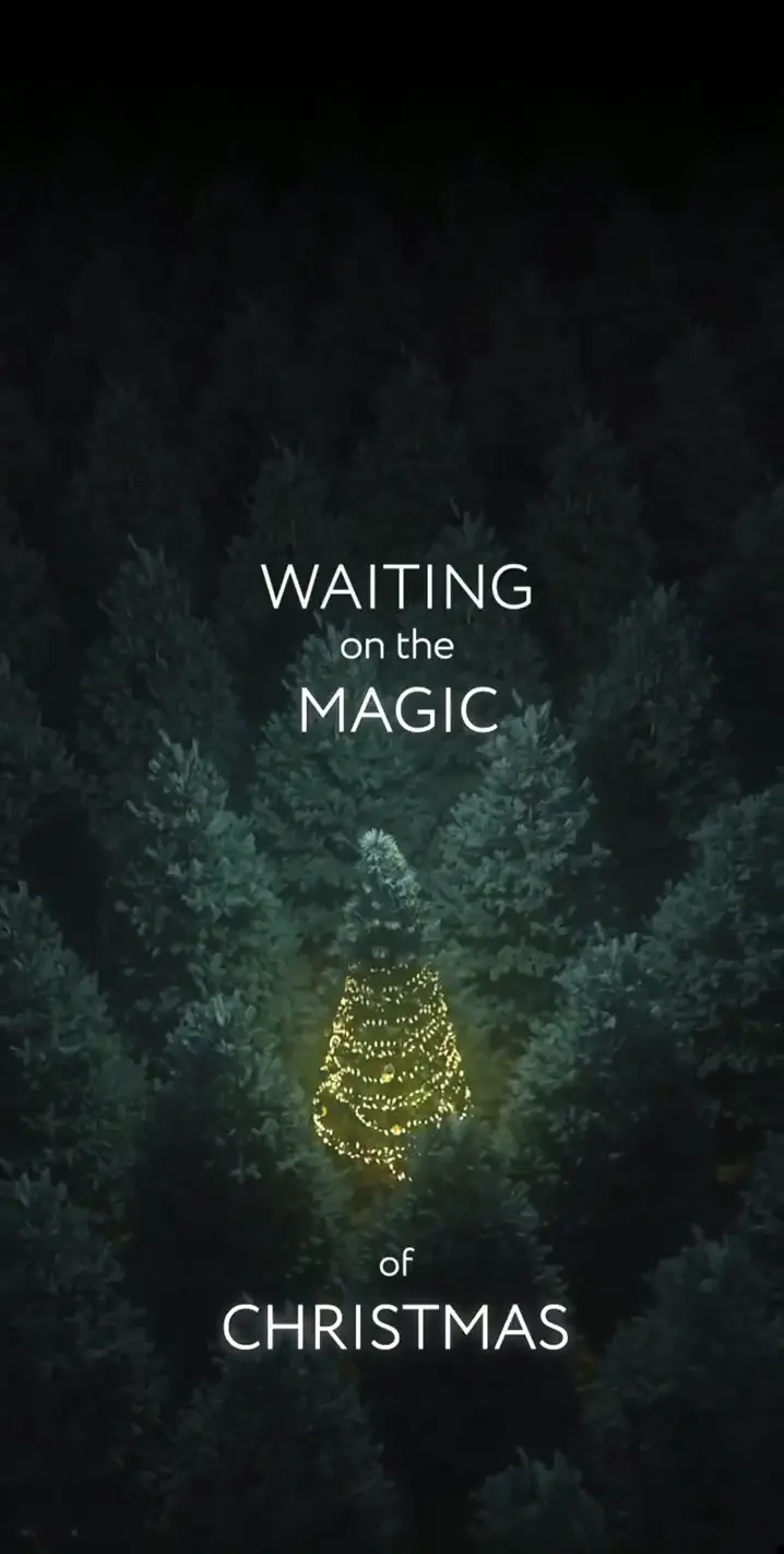 Magical Christmas Tree in Forest Wallpaper