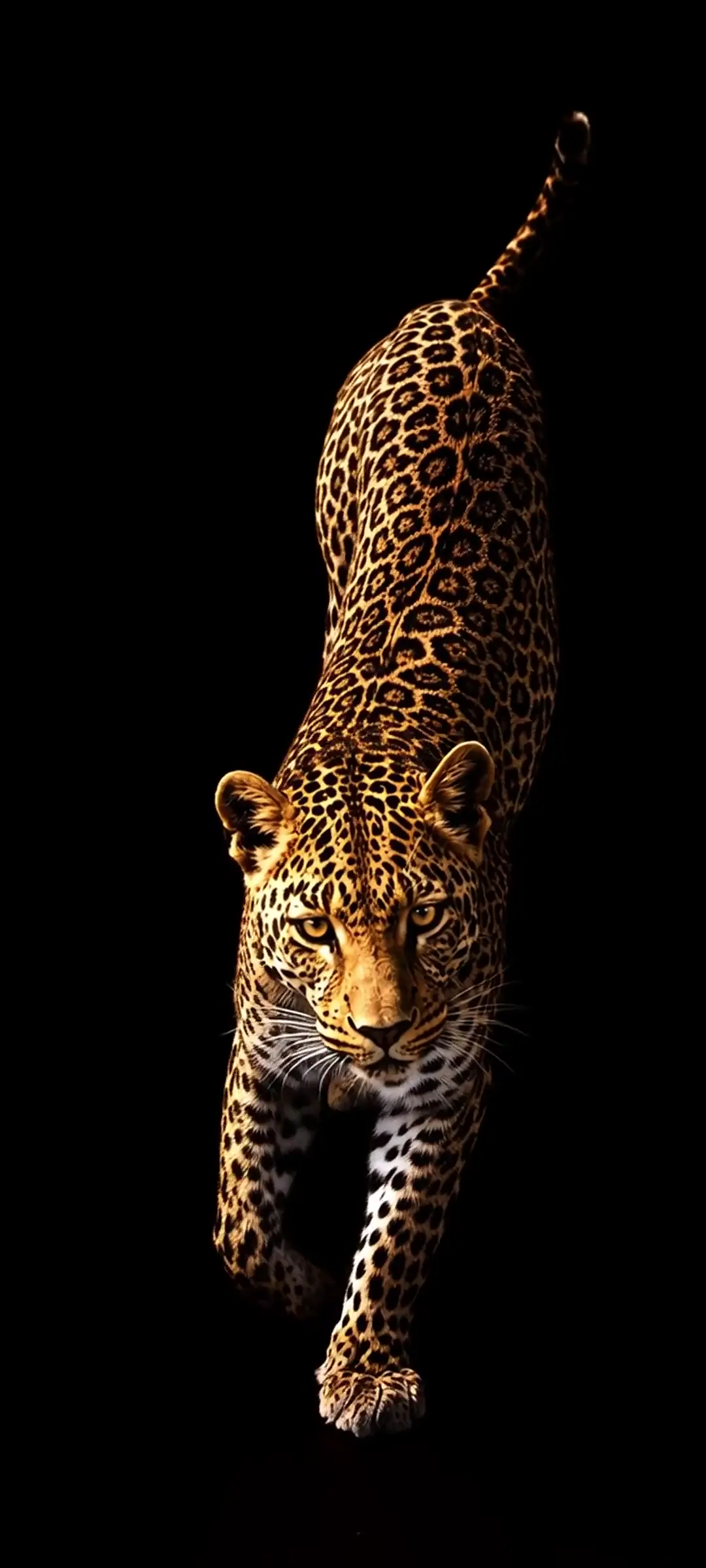 Golden Leopard 4K Live Wallpaper for Mobile