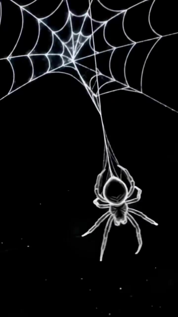Glow Spider on Web