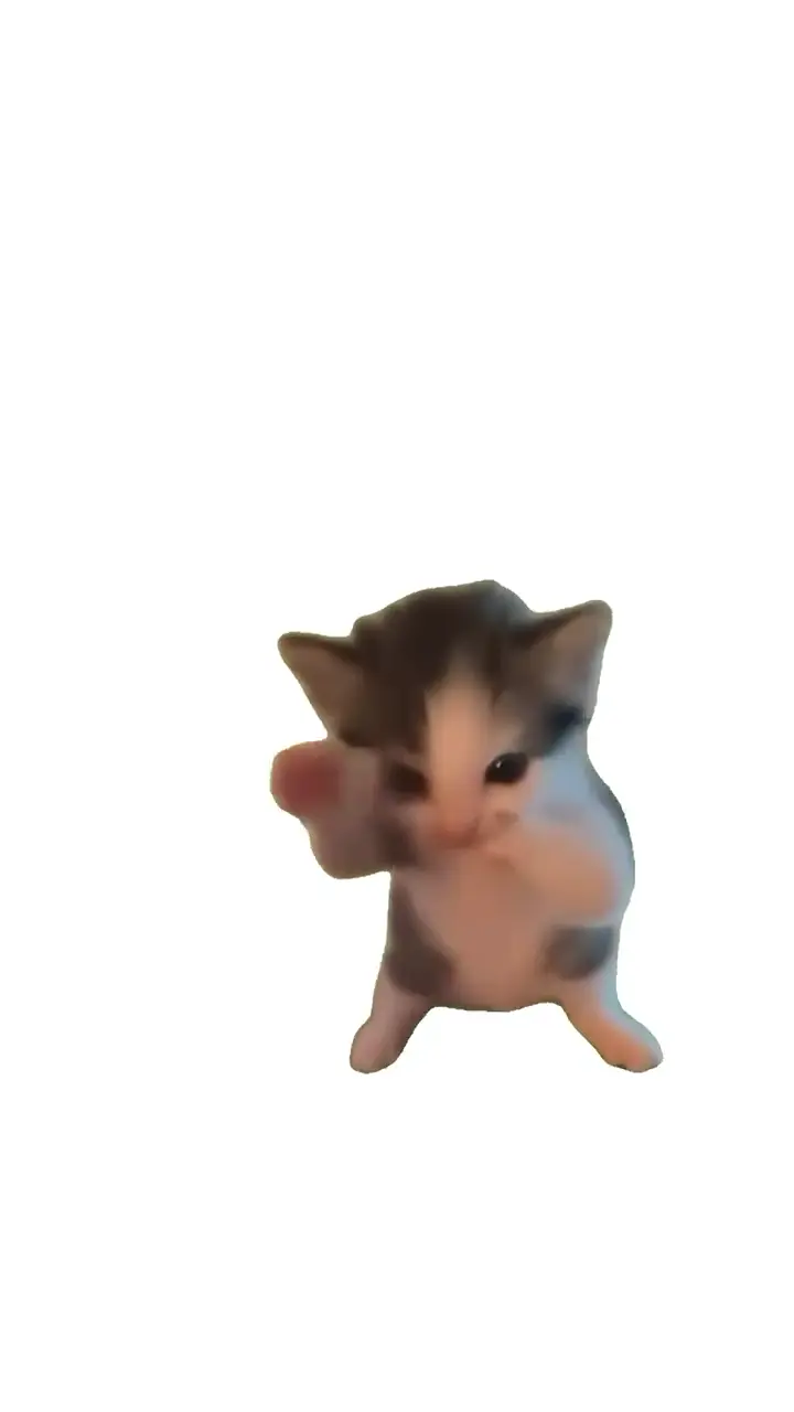 Cute Animated Dancing Cat Live Wallpaper in HD