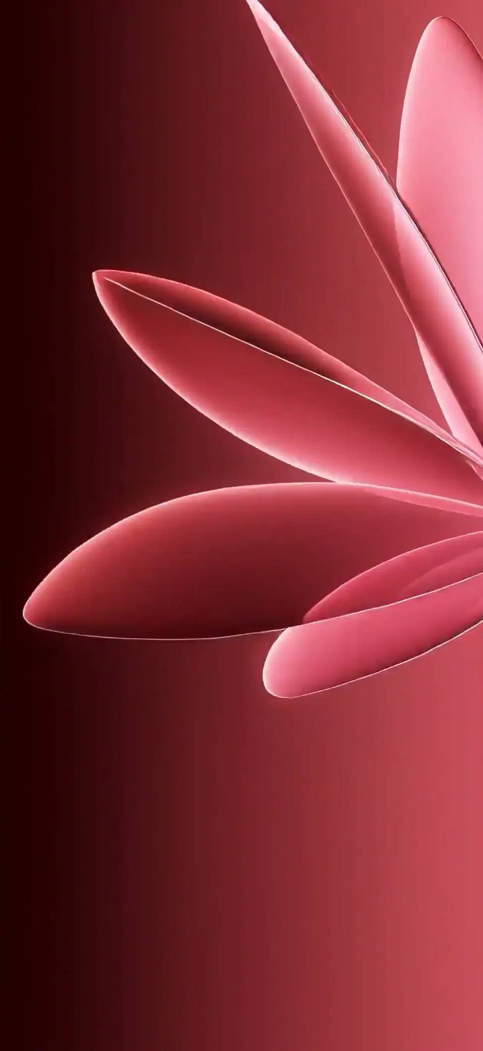 Pink Abstract Petals 4K Live Wallpaper for Mobile