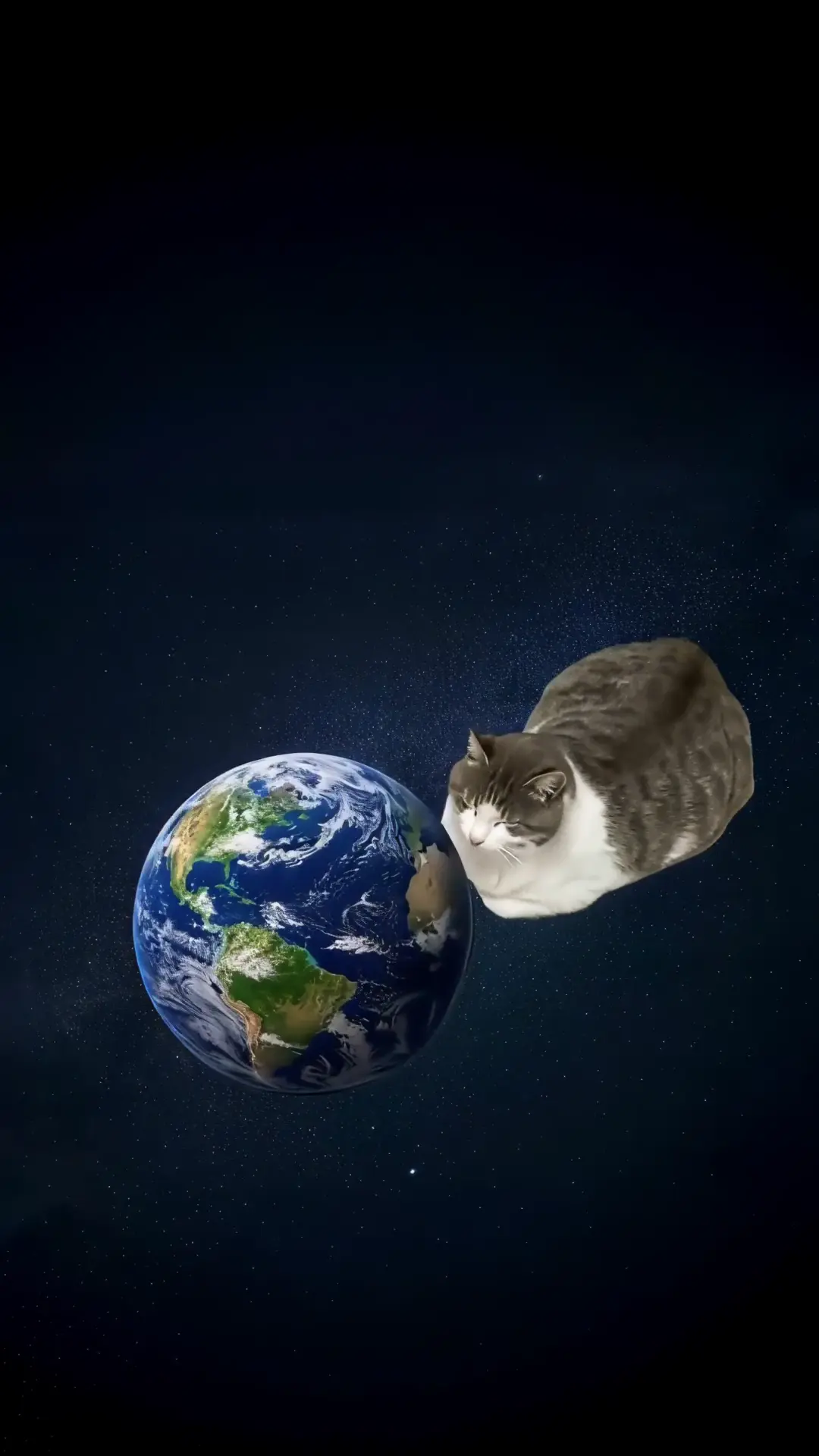 太空巨型面包猫4K动态壁纸