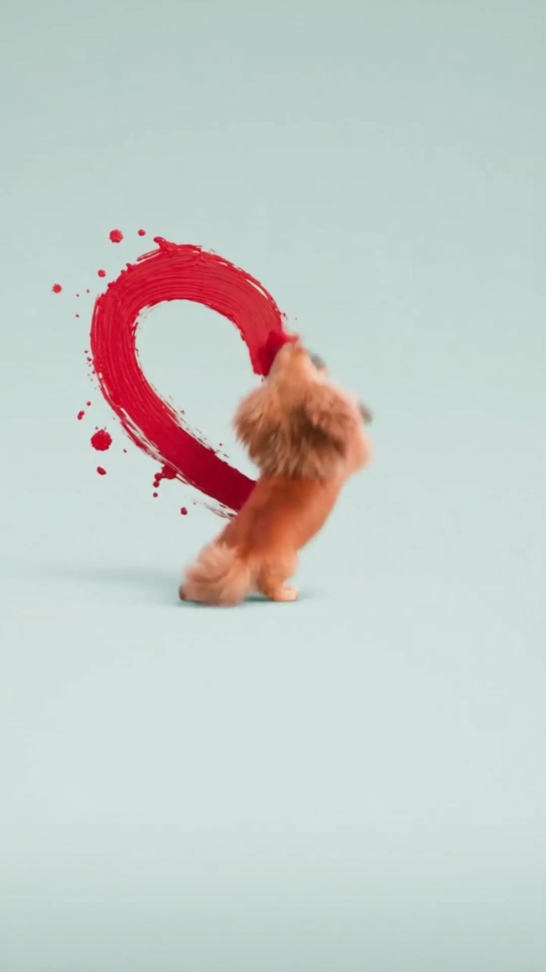 Playful Puppy Paints a Heart