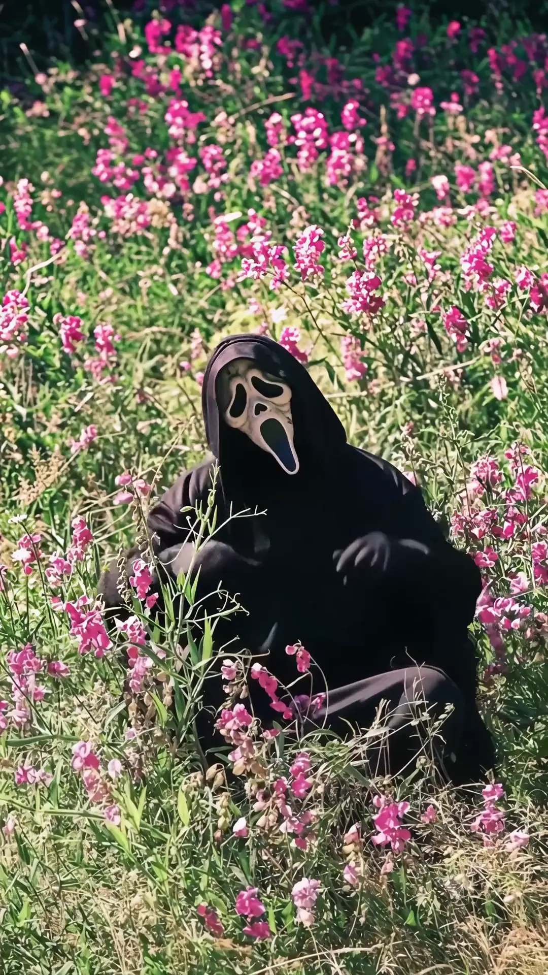 Ghostface in Flower Field 4K Horror Live Wallpaper