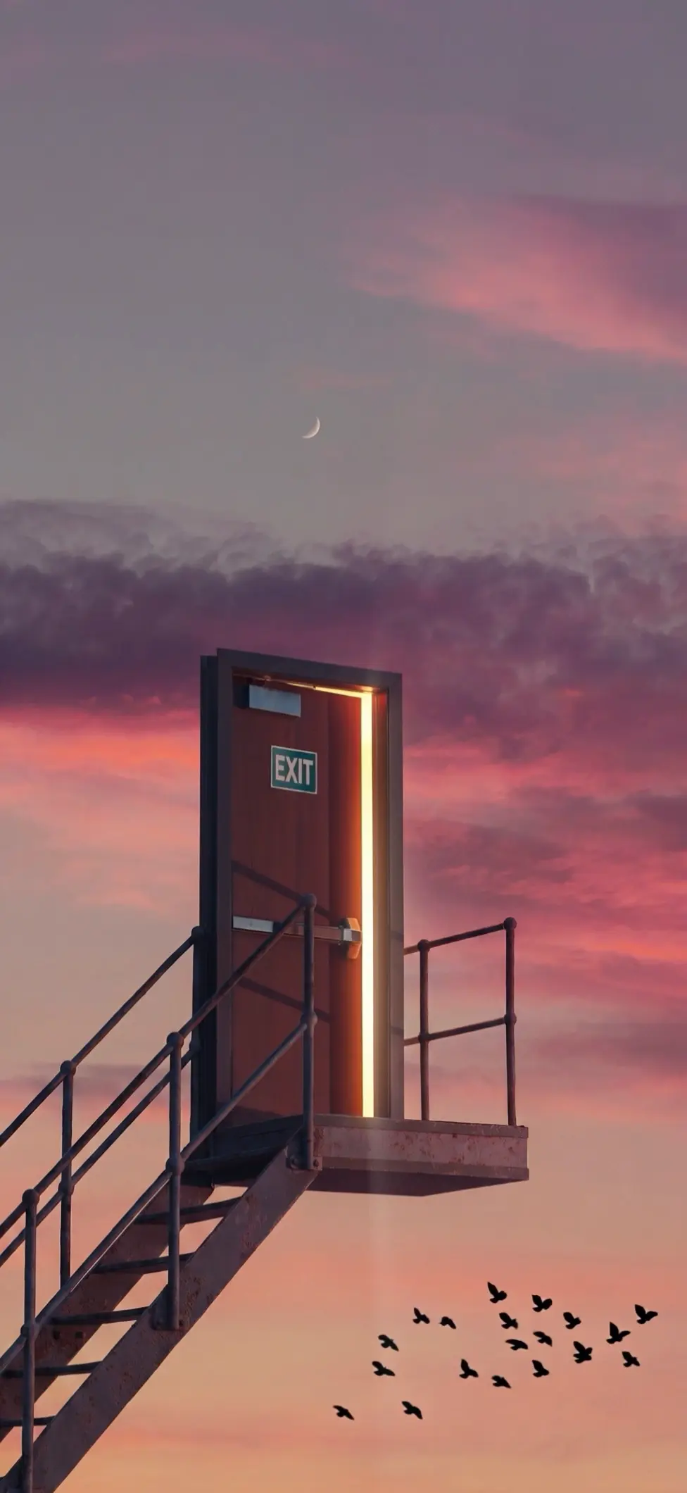Dreamy Exit Door Live Wallpaper with Pink Sky and Birds