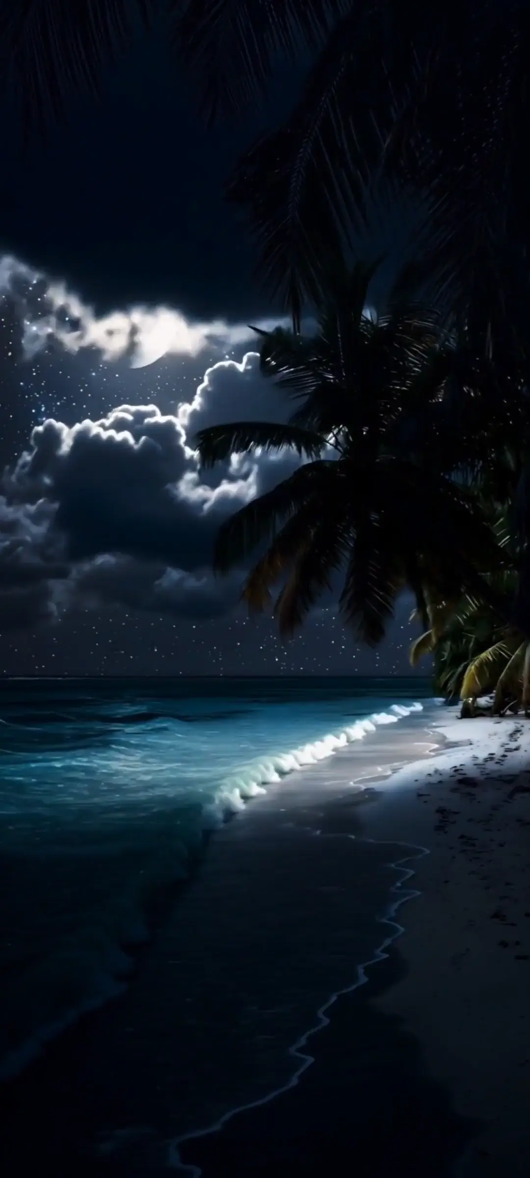 Moonlit Tropical Beach Night HD Live Wallpaper