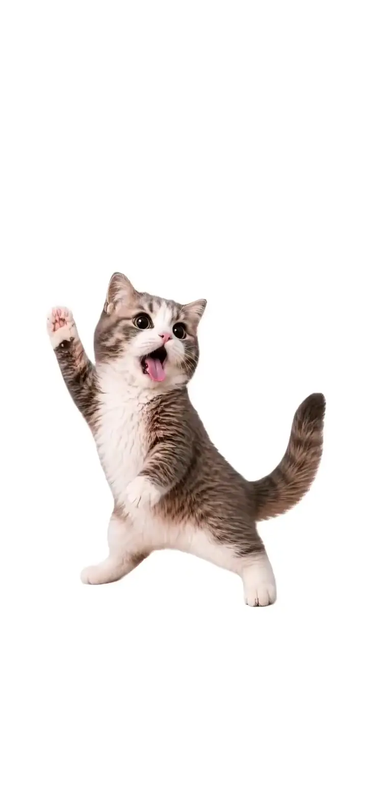 Surprised Animated Cat Live Wallpaper for Mobile