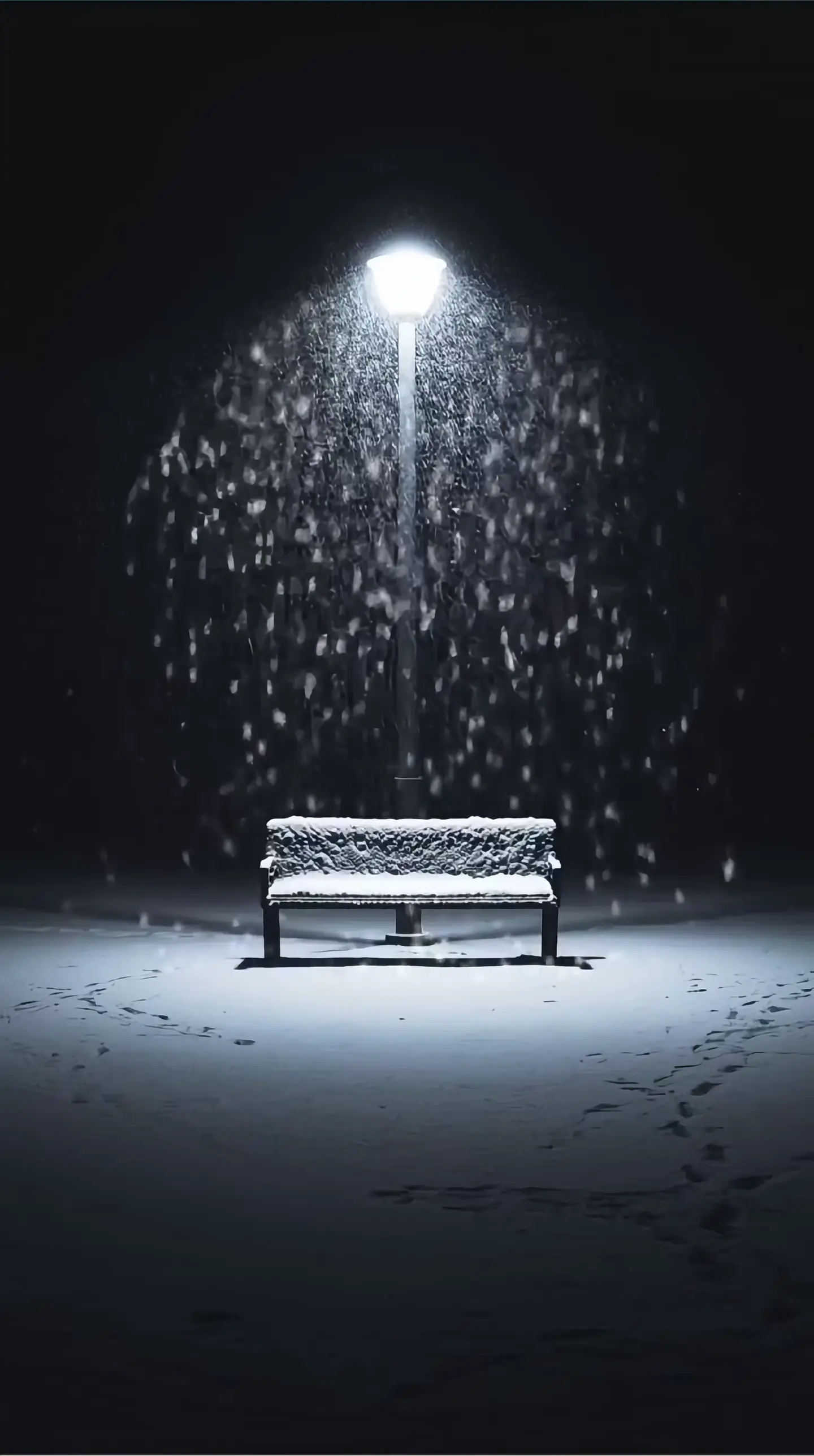 Snowy Park Bench Under Winter Night Light