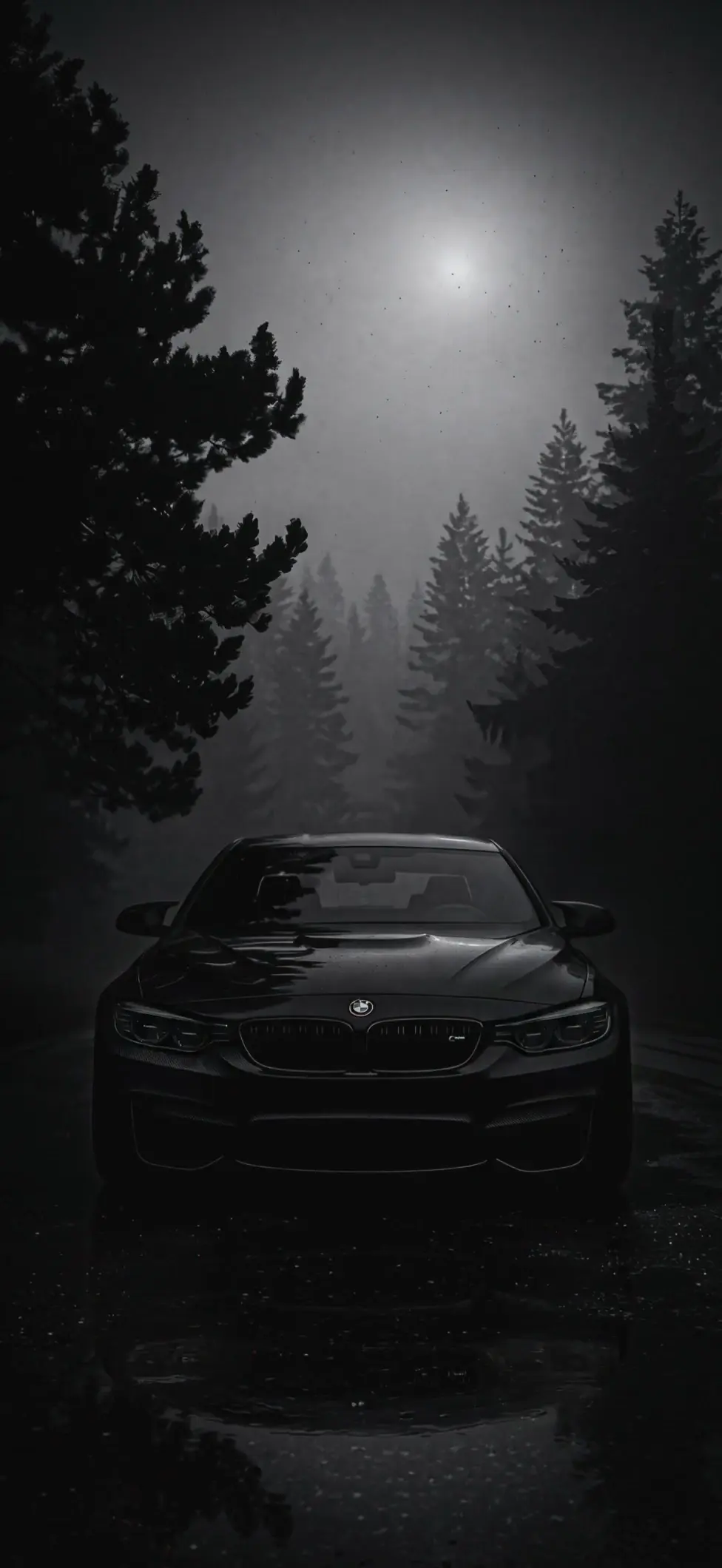 BMW M4 in a Foggy Forest 4K Moody Car Wallpaper