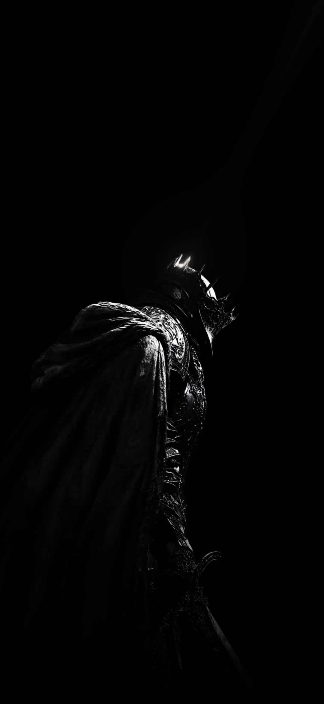Crowned Dark Knight