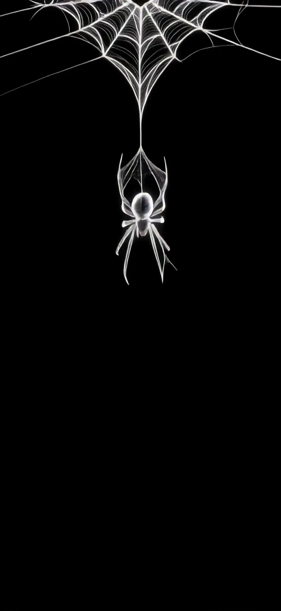 Minimalist White Spider Live Wallpaper for Mobile