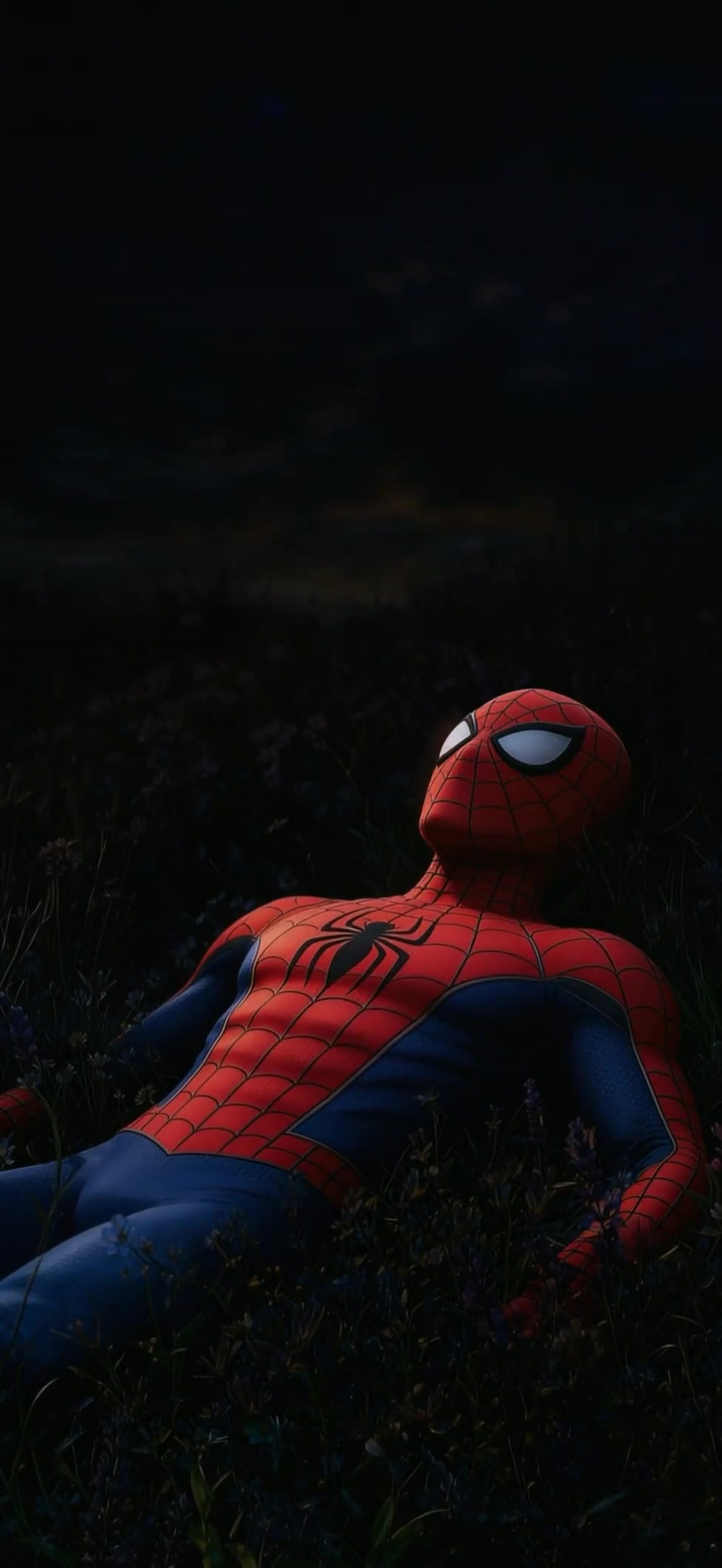 Spider-Man Resting in the Field