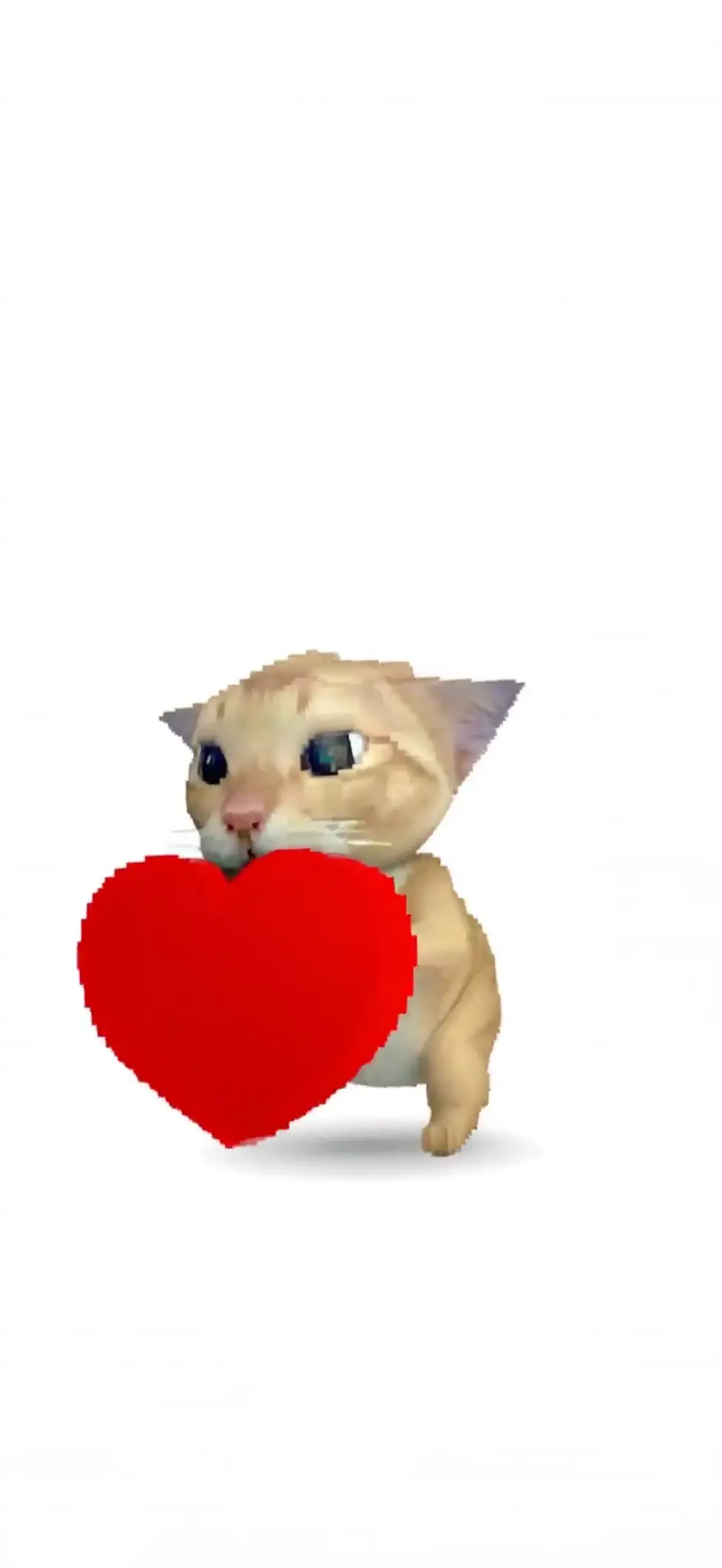 Adorable Bongo Cat Holding Heart Live Wallpaper