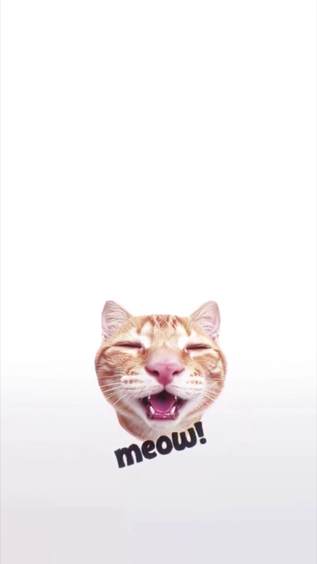 Smiling Orange Cat Meow