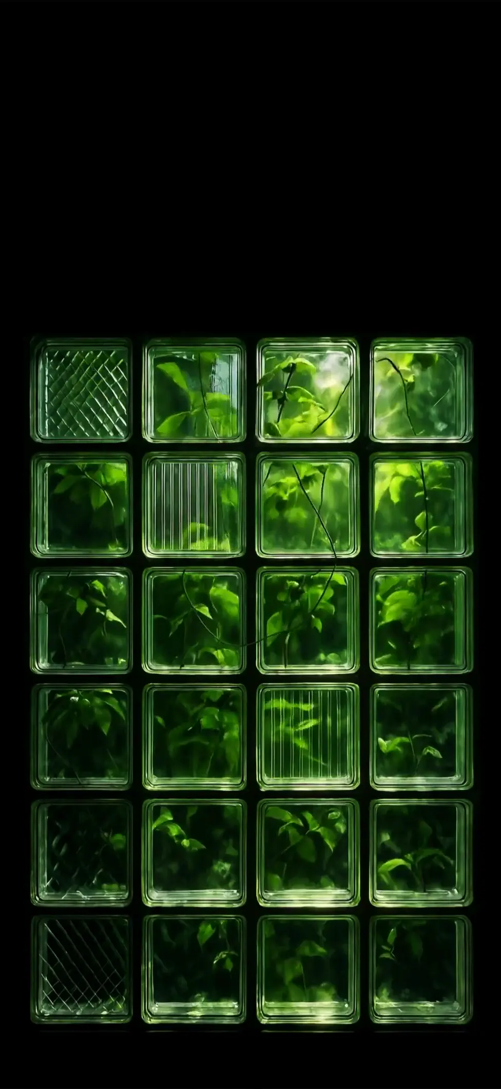 Minimalist Green Botanical Glass Blocks Live Wallpaper